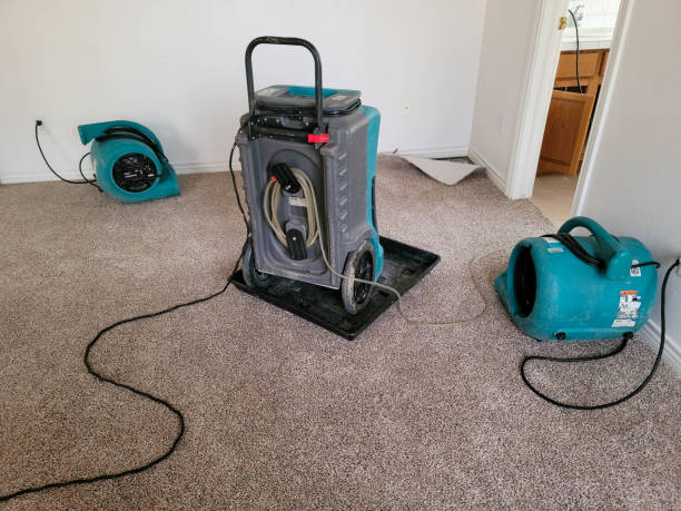 Best Water damage restoration near me  in Fort Hall, ID