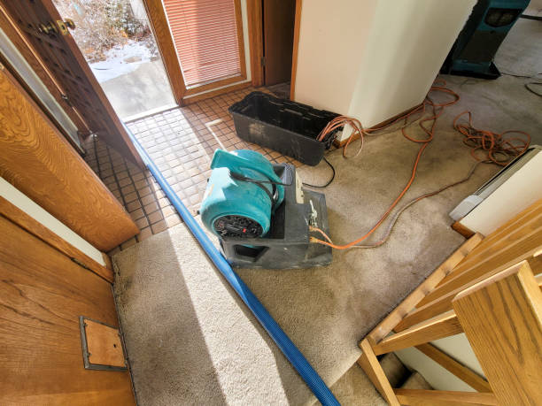 Best Flooded house restoration  in Fort Hall, ID