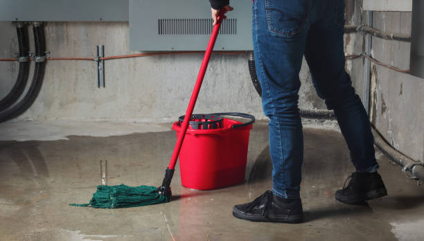 Best 24/7 water damage repair  in Fort Hall, ID