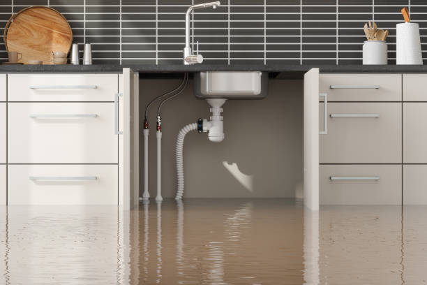 Best Water damage restoration services  in Fort Hall, ID